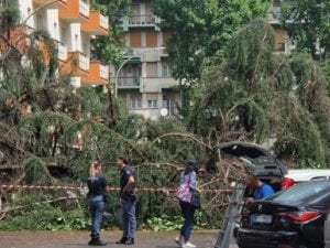 Tromba d’aria a Prati Fiscali, una cittadina: “Sembrava l’Apocalisse, un albero si è abbattuto su un palazzo”