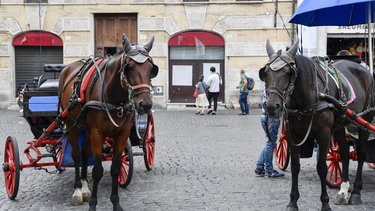Botticelle a Roma (Foto La Presse)