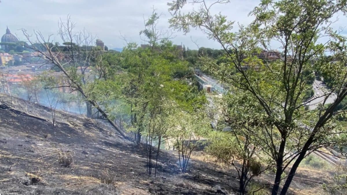 L’area di Monte Ciocci colpita dal rogo (Foto da vigili del fuoco)