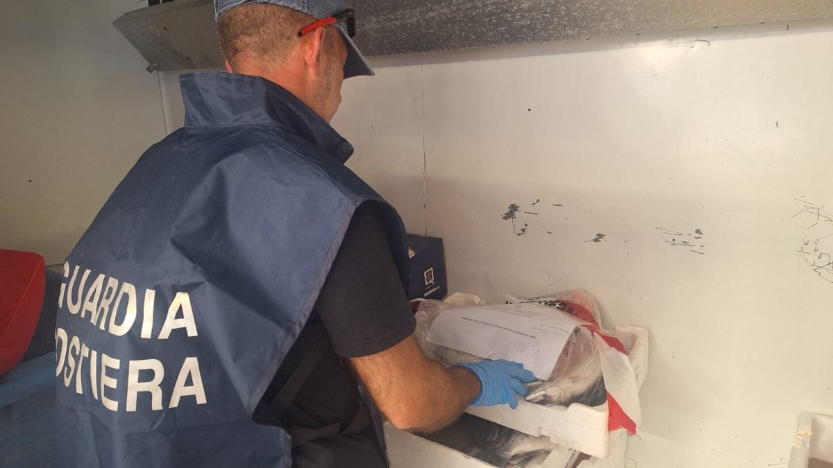 La guardia costiera impegnata nei controlli al mercato di Primavalle
