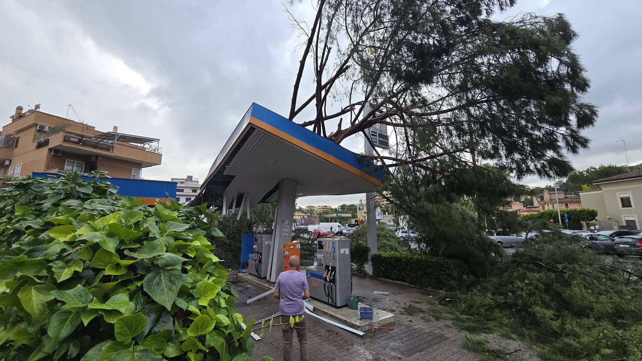 Albero caduto su una pompa di benzina in zona Prati Fiscali (Foto di Andrea Zinno)