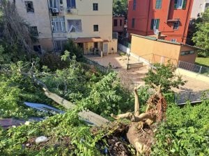 Tromba d’aria a Roma, la conta dei danni: almeno 60 alberi caduti, danni a tetti e strade chiuse