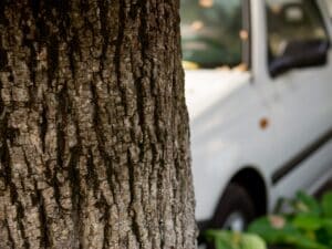 Incidente mortale sull'Appia a Cisterna di Latina