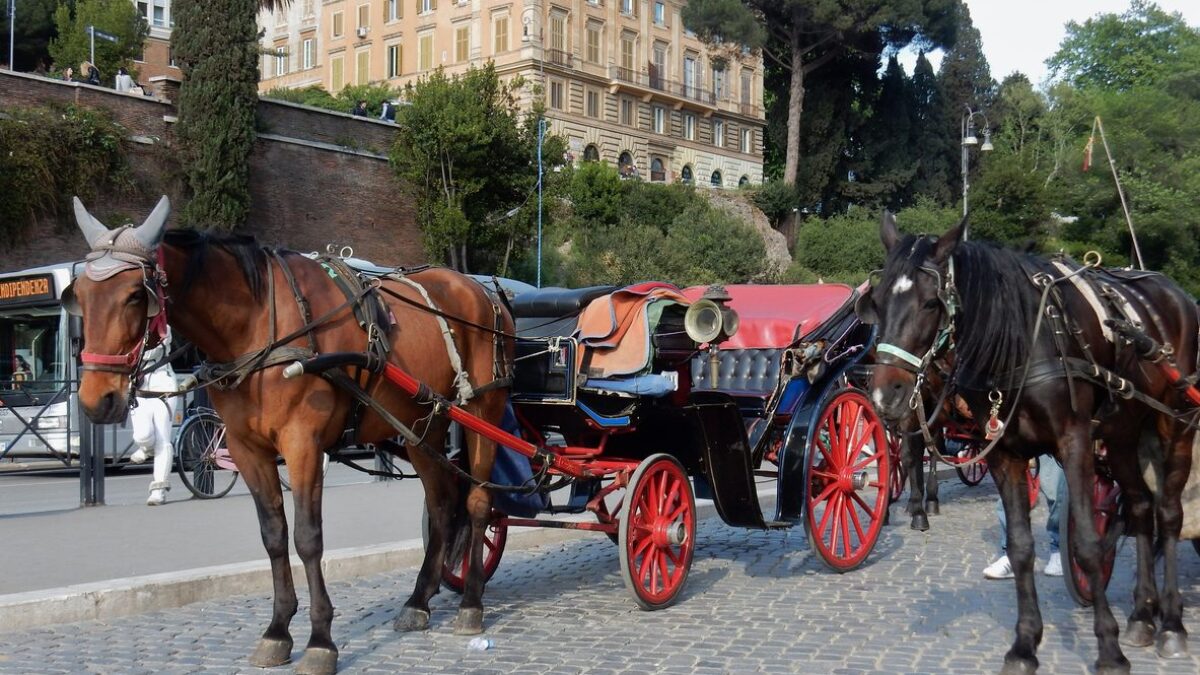 Immagine di repertorio