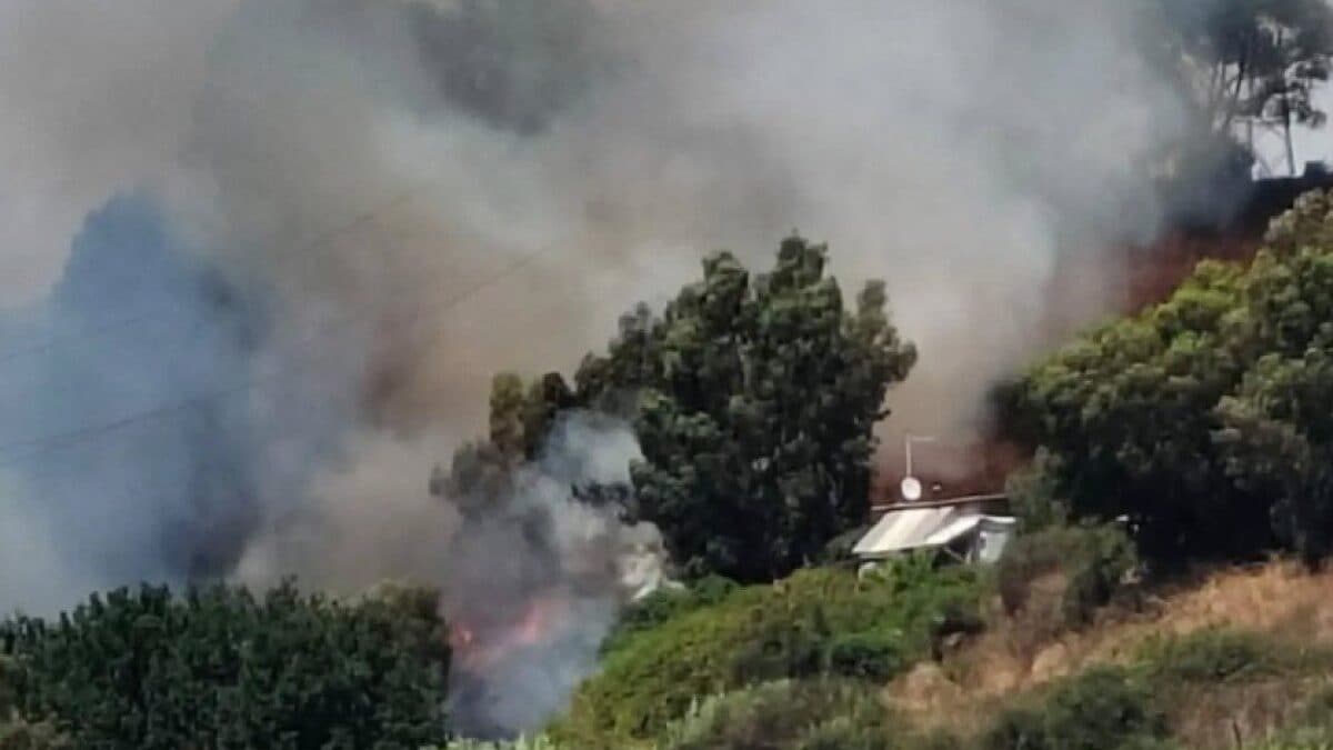 L'incendio (Foto Facebook di Valle Galeria Libera)