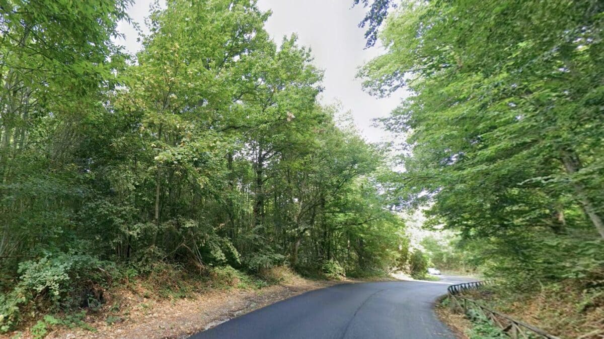 Boschi sui monti Cimini (Foto da Google Maps)