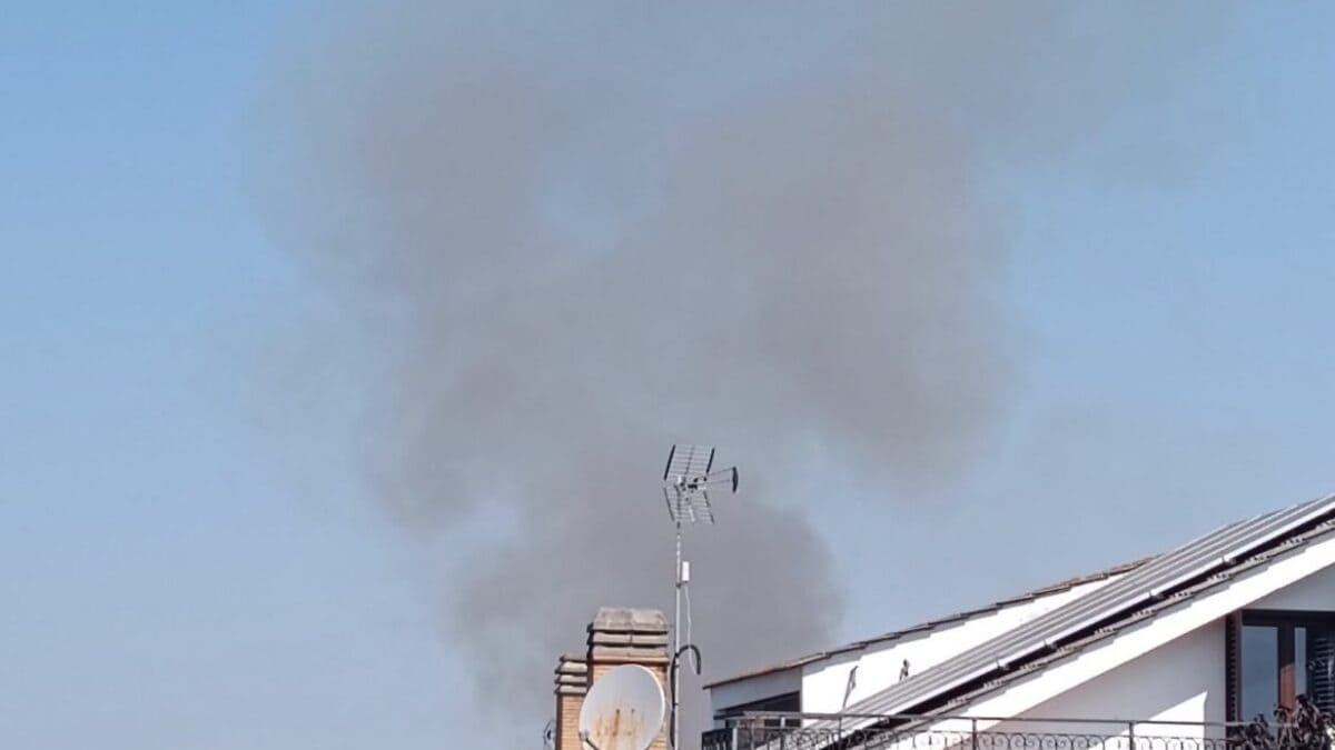 Il fumo dell'incendio a Casal Palocco, foto dal gruppo Ostia, Casalpalocco, Infernetto, Axa, Acilia, Dragona e dintorni.