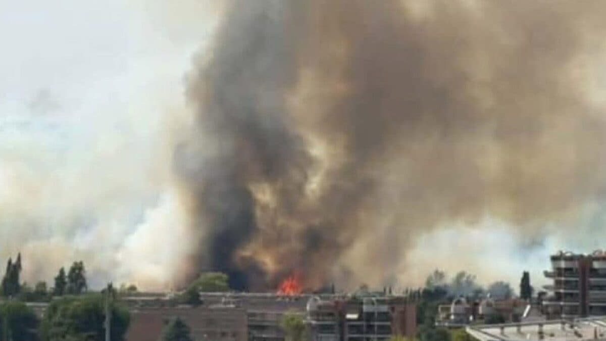 L'incendio a Tor di Valle (Foto Facebook di S.Mariano)