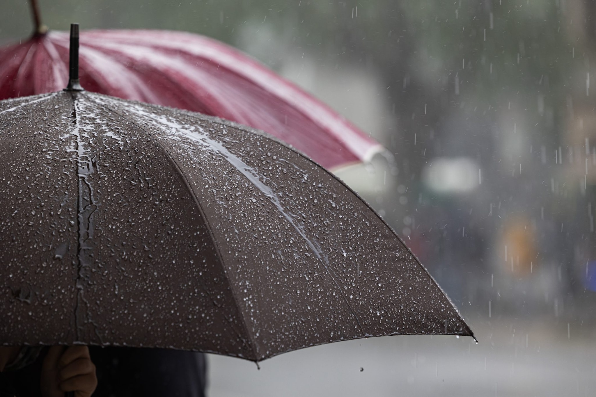 Tornano i temporali a Roma e nel Lazio, le previsioni meteo: rischio grandine e nubifragi giovedì 10 settembre