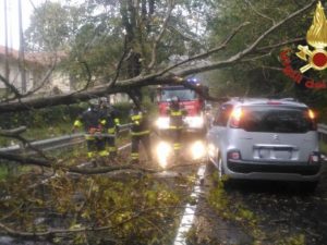 L’auto colpita dall’albero caduto a causa delle forti piogge nel Varesotto