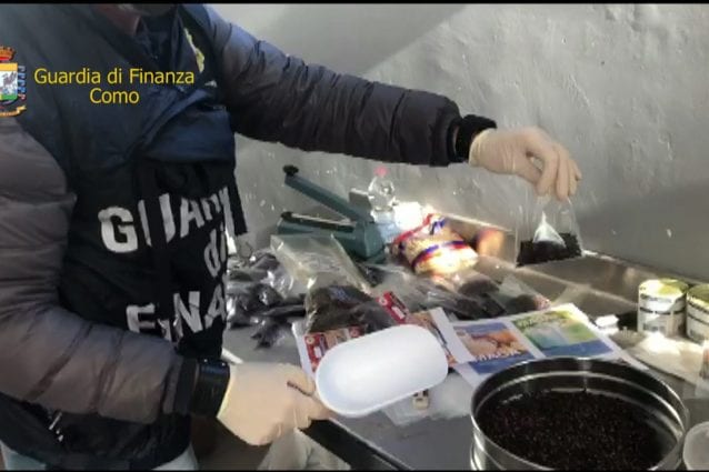 Alcuni dei prodotti alimentari sequestrati a Cologno Monzese (Fonte: Guardia di Finanza)