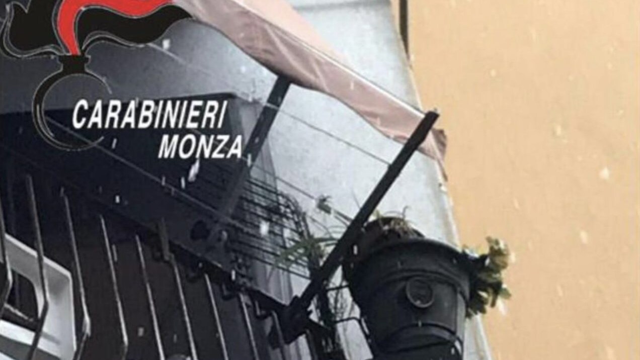 Immagine