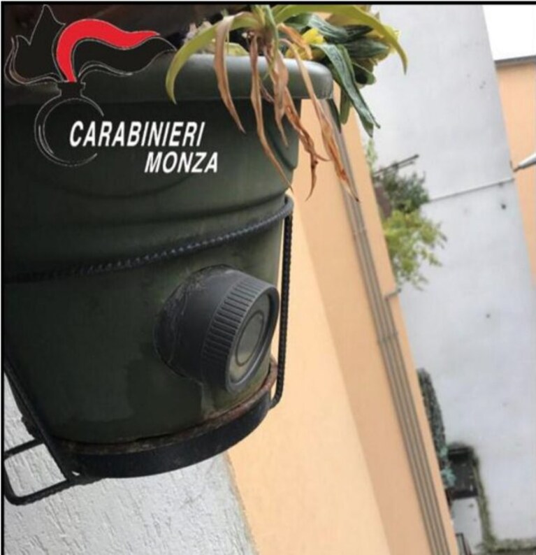 Immagine