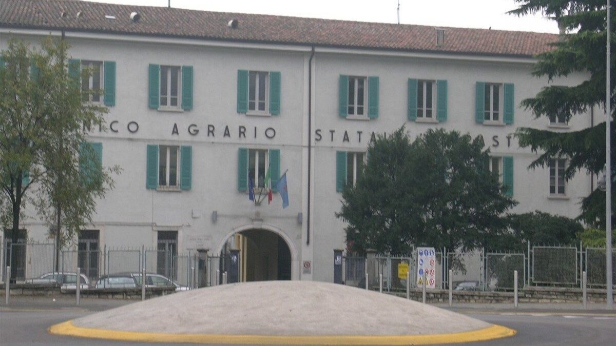 Immagine