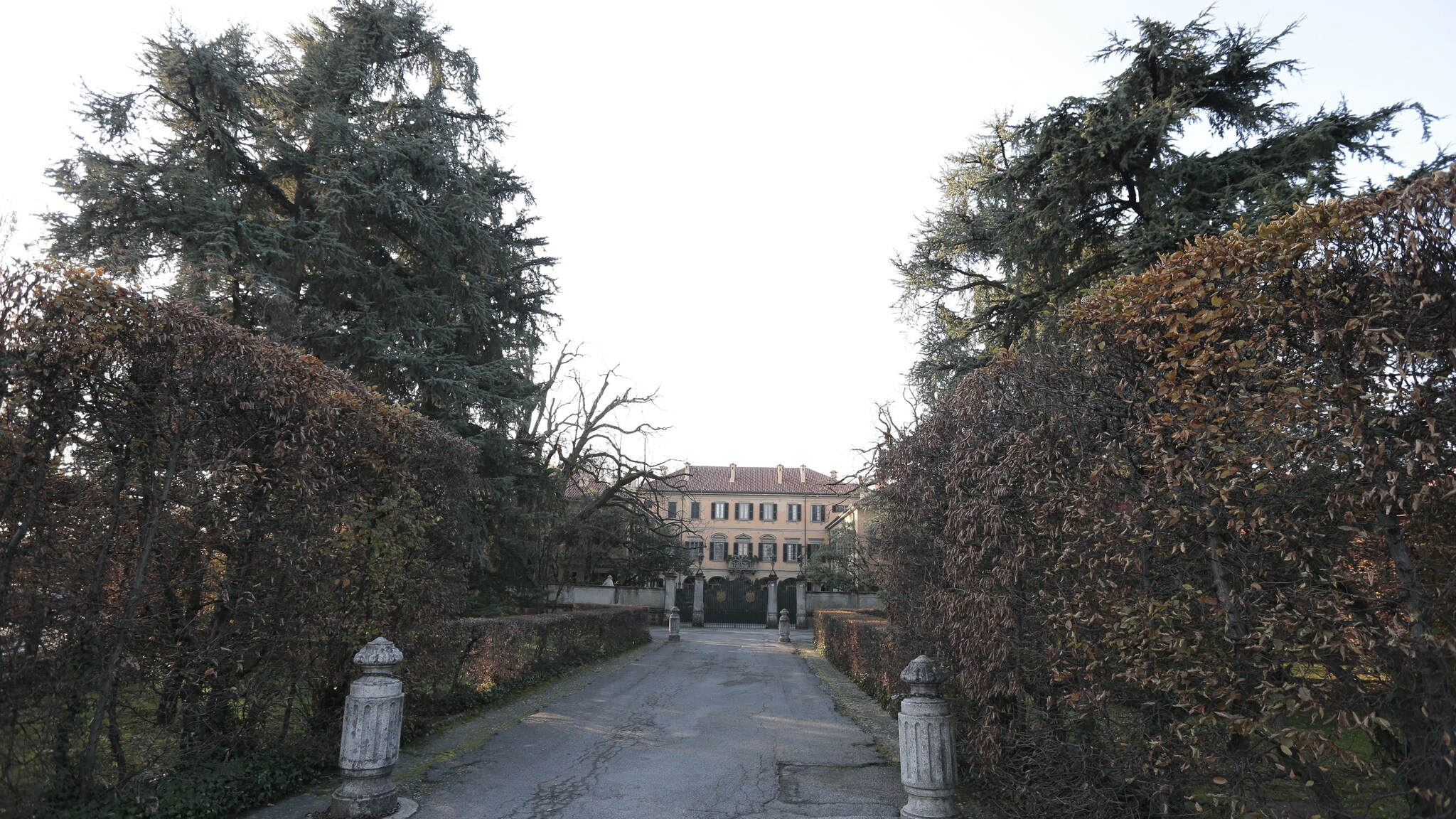Immagine