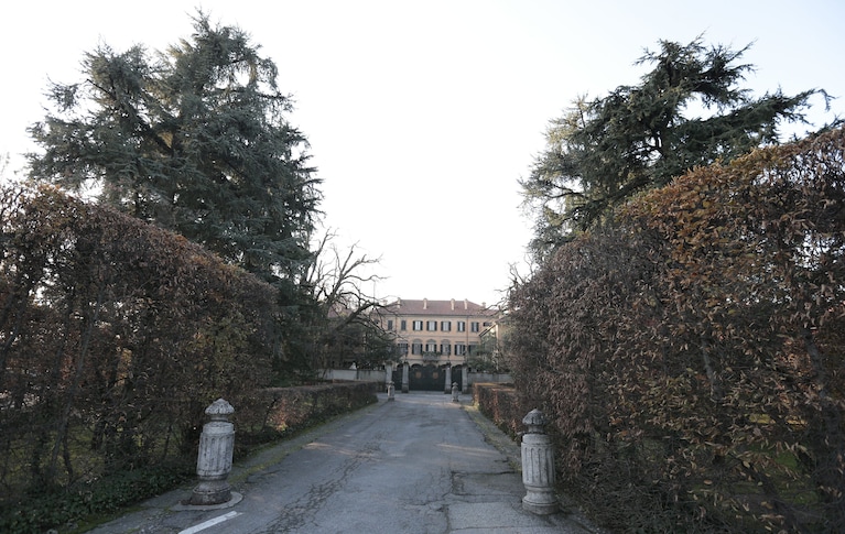 Immagine
