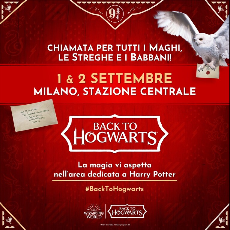 Immagine