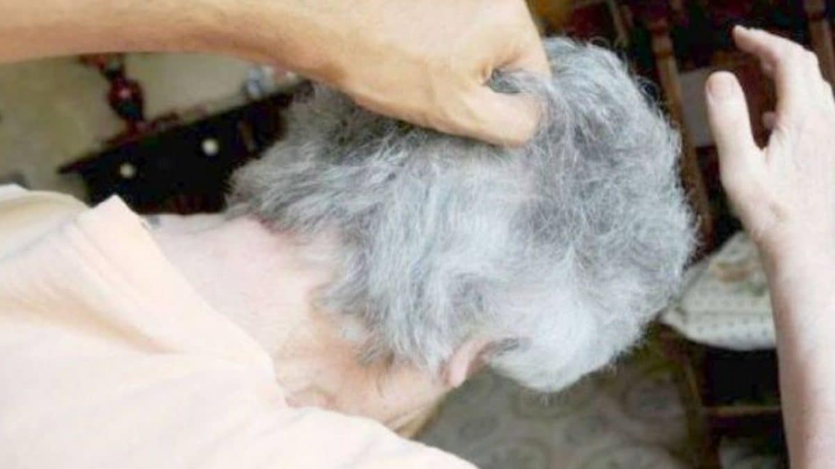 Immagine di repertorio