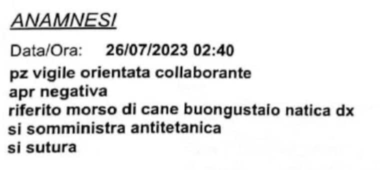 Immagine