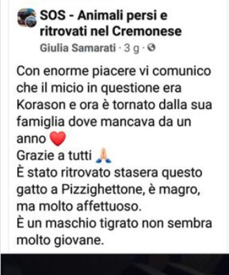 Immagine