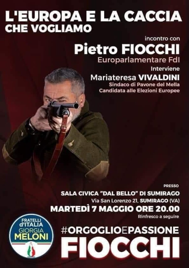 Immagine
