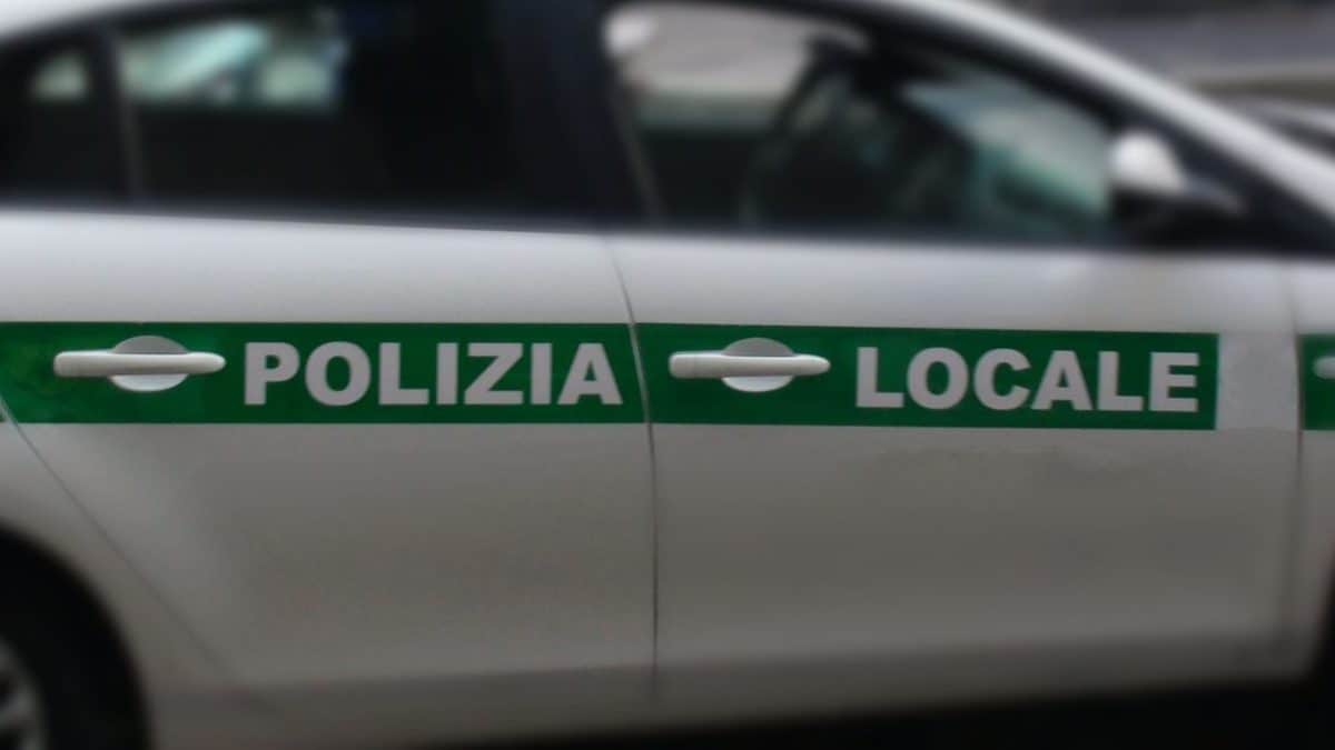 Immagine