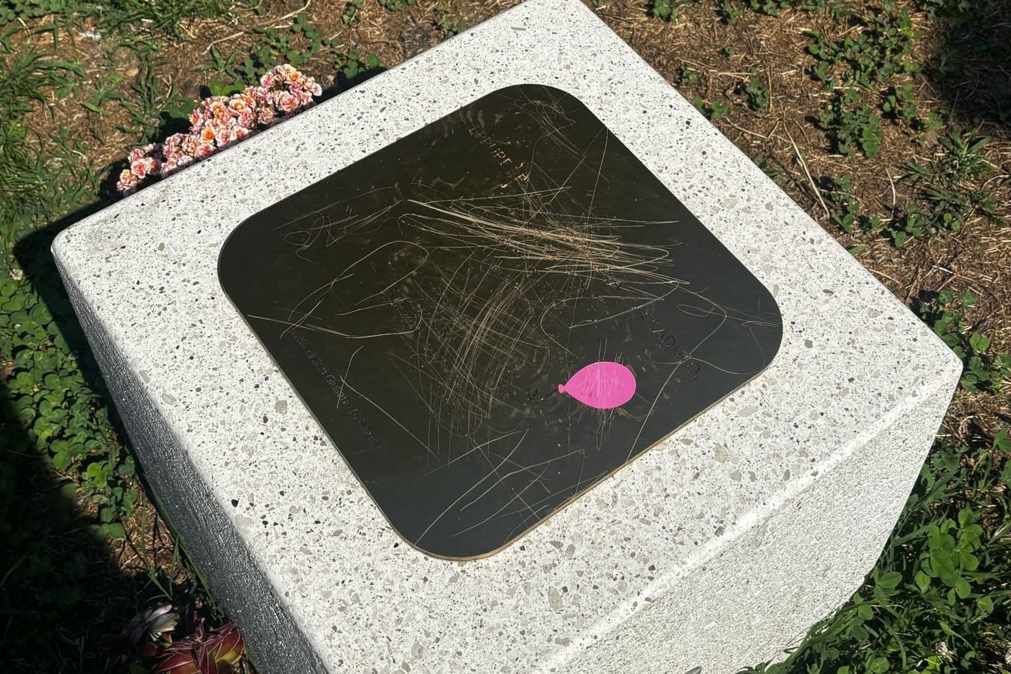 La zia di Diana Pifferi, la bimba abbandonata e morta di stenti: “Vandali hanno deturpato la targa per mia nipote"