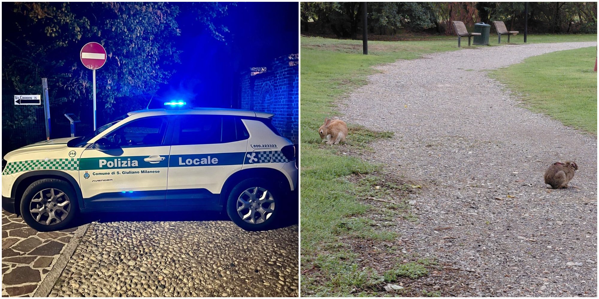 polizia locale san donato milanese