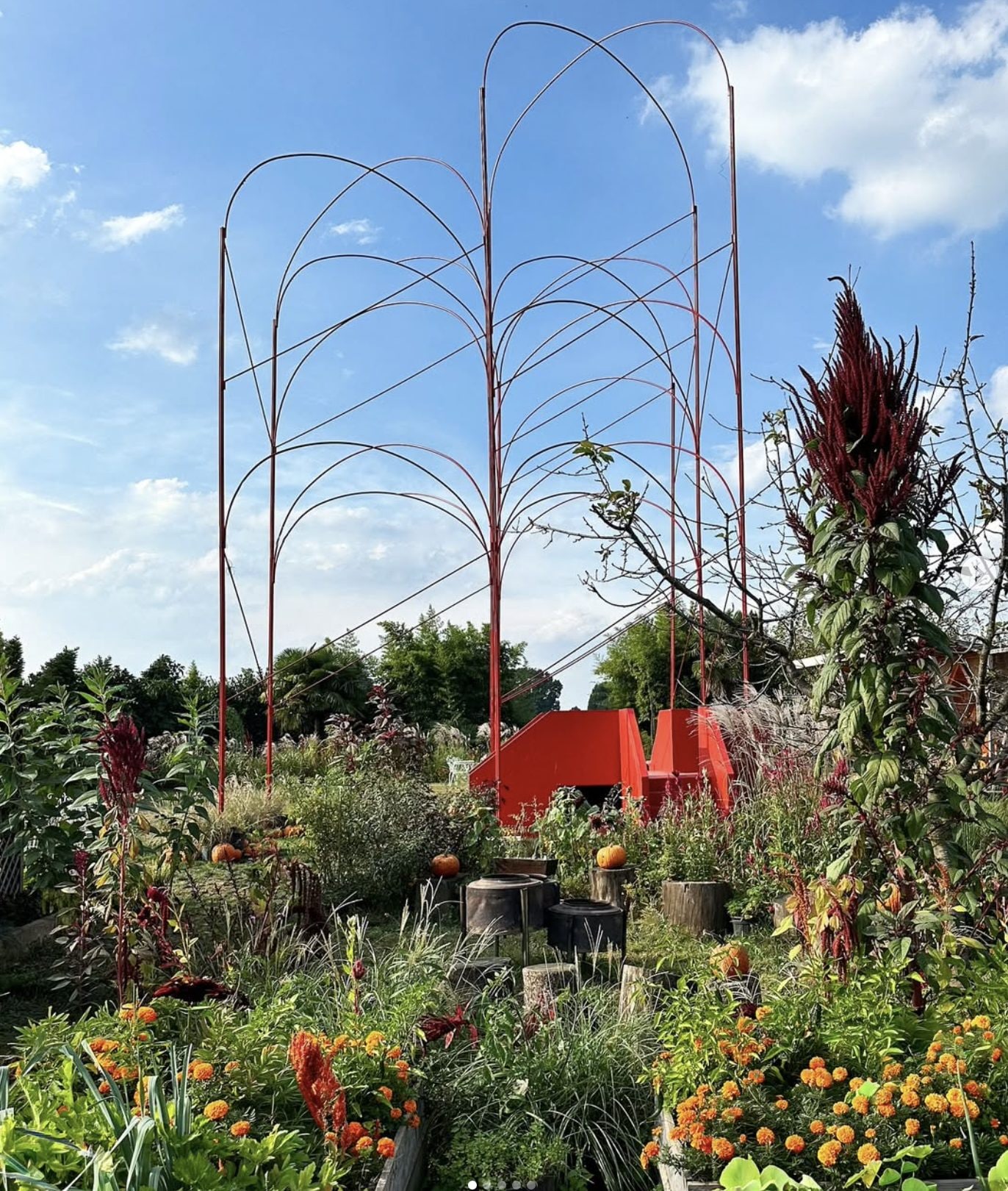 Immagine da Instagram (@ilcampodifederica)