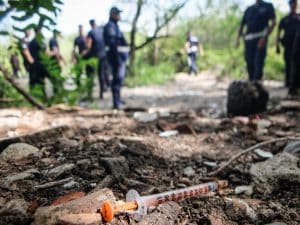 Trovato un cadavere nei boschi vicino a Lecco: indagini in corso