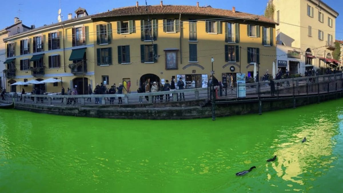 L’acqua dei Navigli di Milano tinta di verde. Fonte: Extinction Rebellion.