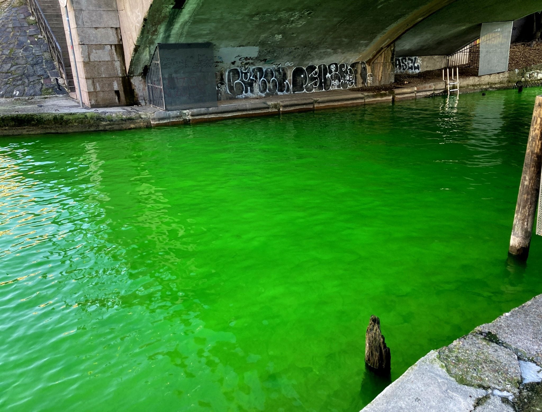 L’acqua dei Navigli di Milano tinta di verde. Fonte: Facebook.