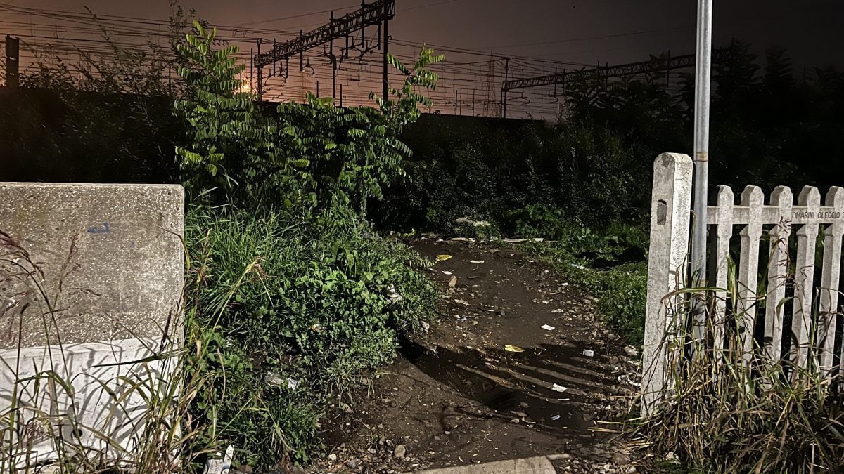 Uno degli ingressi del "bosco della droga" di Rogoredo. Credits: Fanpage.it (Giulia Ghirardi).