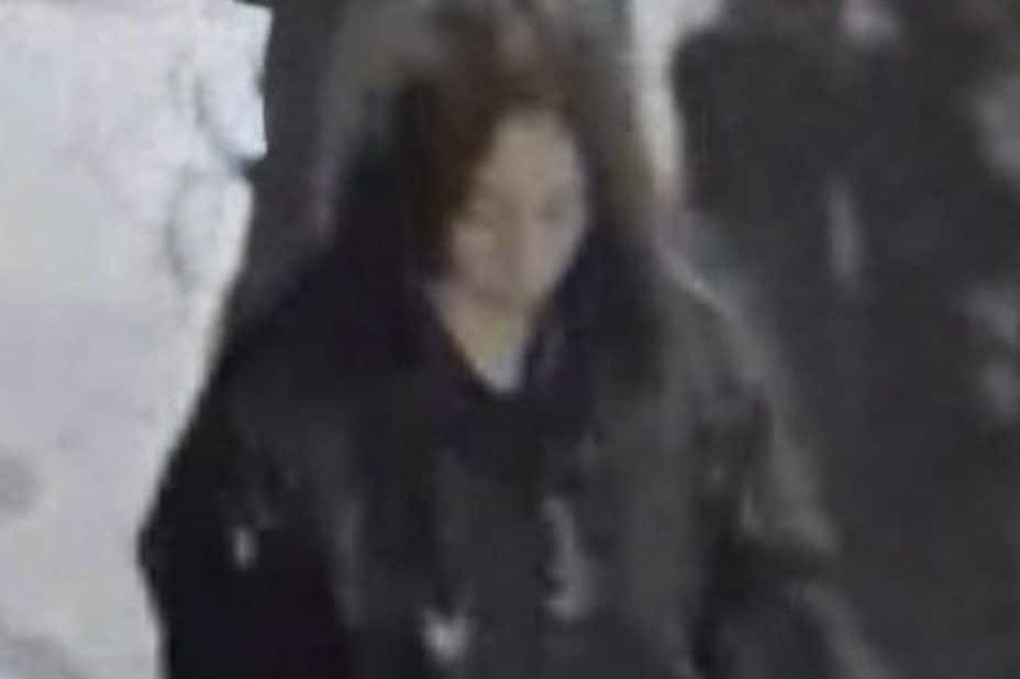 La 19enne inquadrata dalle telecamere in via Padova