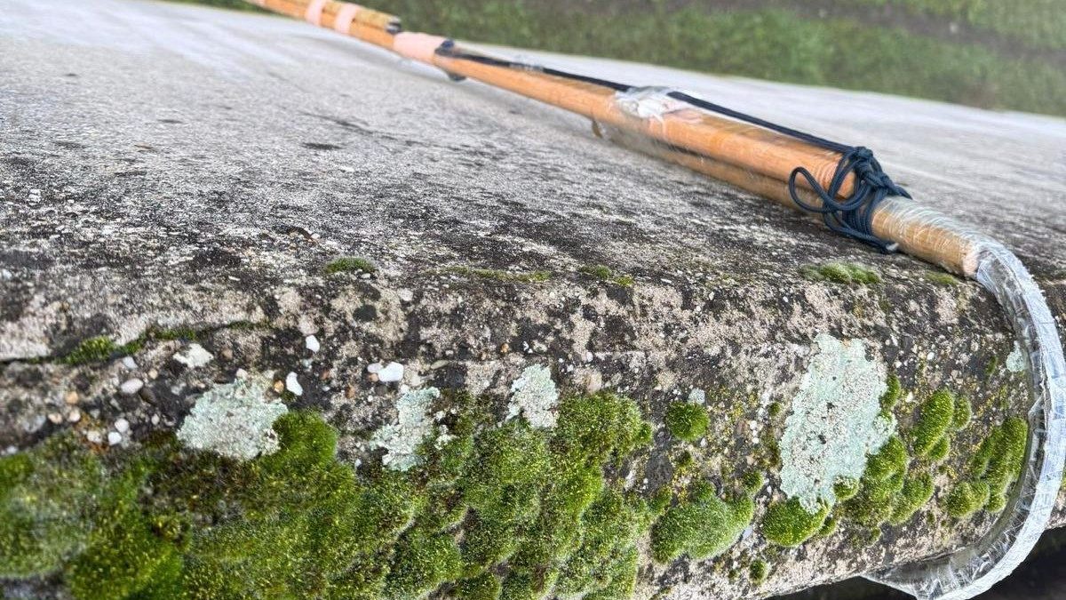 I pali utilizzati per scavalcare la cinta muraria