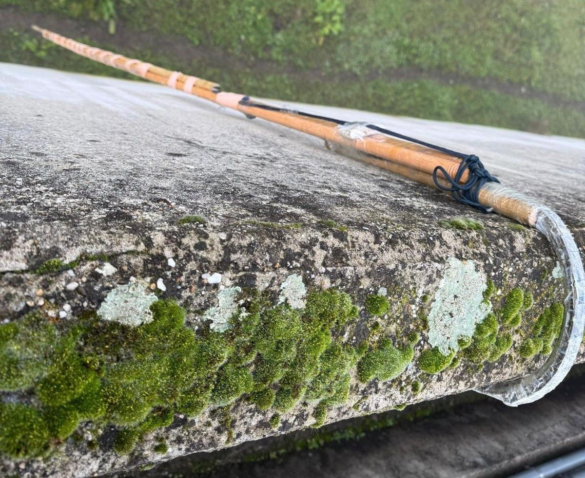 I pali utilizzati per scavalcare la cinta muraria