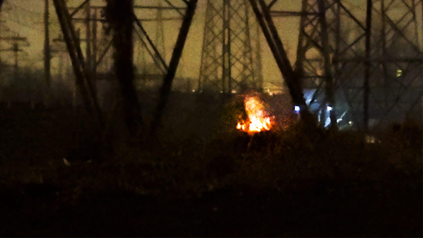 Il sentiero di fuochi dentro il bosco di Rogoredo