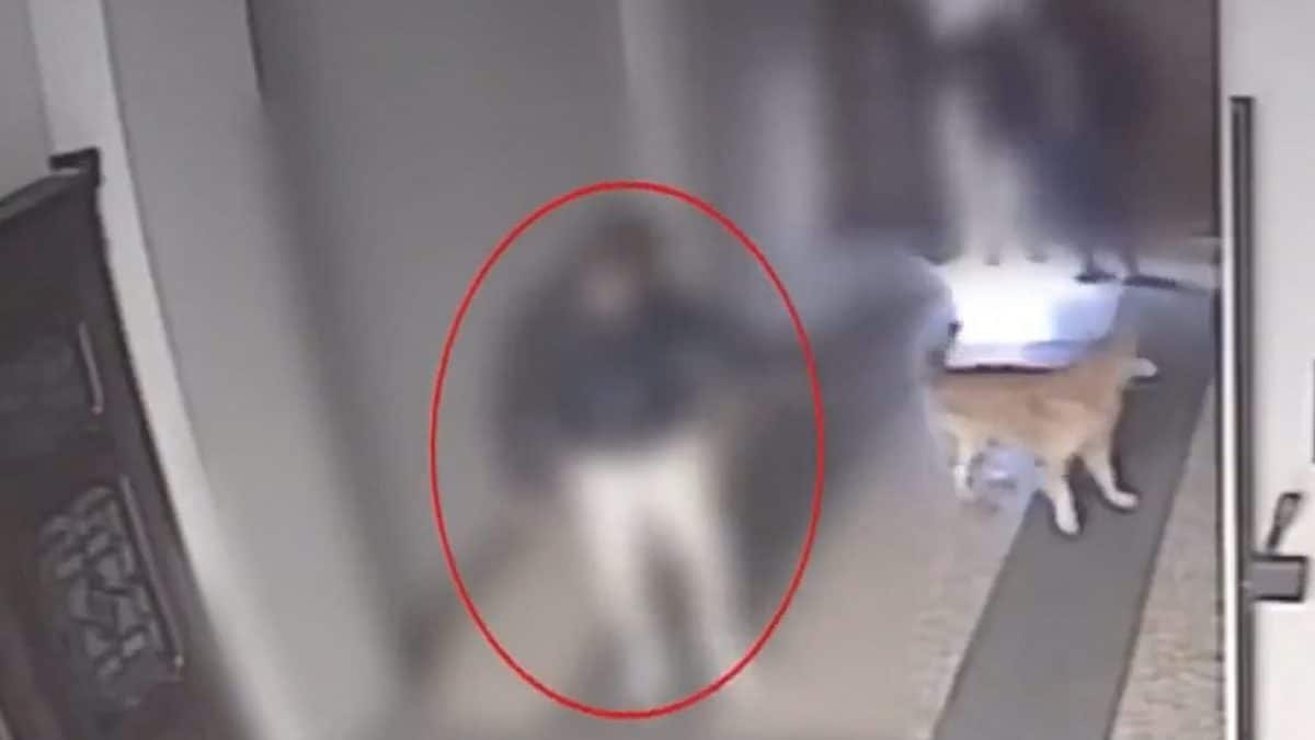 I due ladri nel cortile di casa della vittima (frame da video della polizia di Stato)