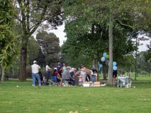 Multa per il compleanno della figlia al parco, ma a Milano vietate decorazioni nelle aree verdi: il regolamento