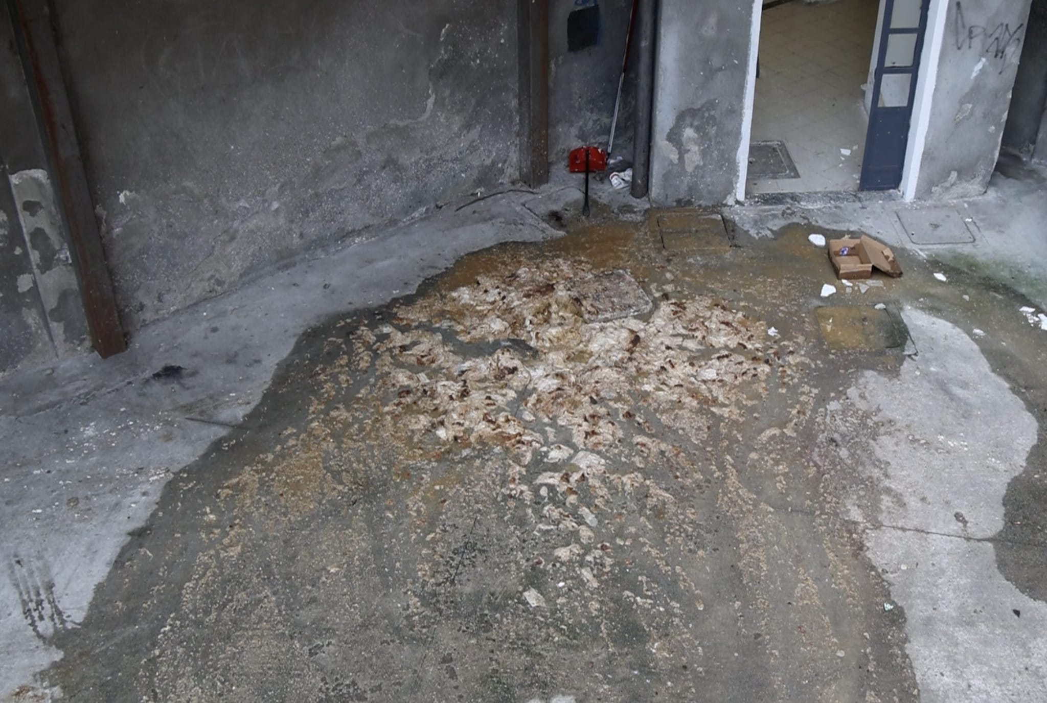I tombini nel cortile di uno stabile del quartiere Corvetto periodicamente sversano materiale fognario