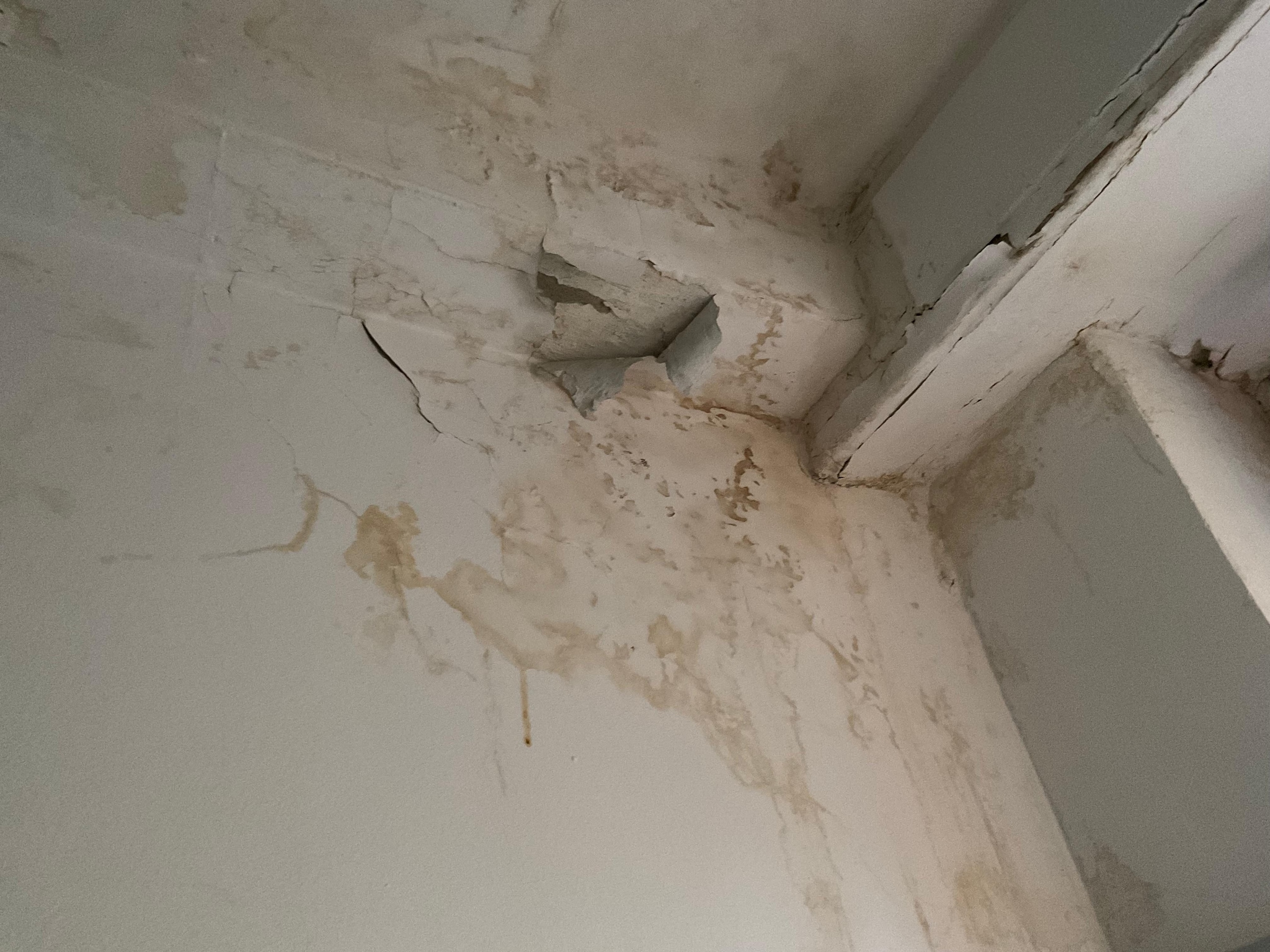 Lo stato in cui versava il muro nel bagno di Mirco Braga fino a metà marzo 2026