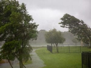 Allerta meteo gialla per vento forte a Milano: possibili raffiche fino a 90 chilometri orari