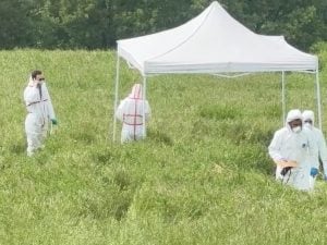 Trovata morta in un prato a Cecima, sotto sequestro la casa del 23enne che ospitava Elisa Giugno