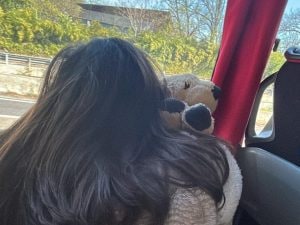 Rientro da incubo dalle vacanze di Pasqua per colpa del caro-voli: “Io e mia figlia costrette a 19 ore di bus”