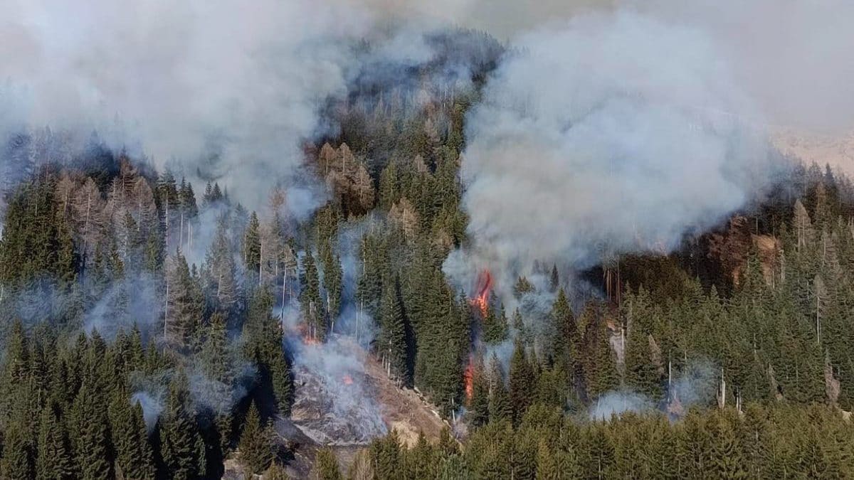 L’incendio a Valfurva (foto da Facebook)