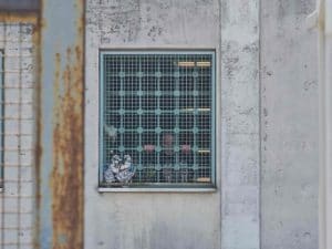 “Pieno di lividi, perde conoscenza”: i familiari di un deten