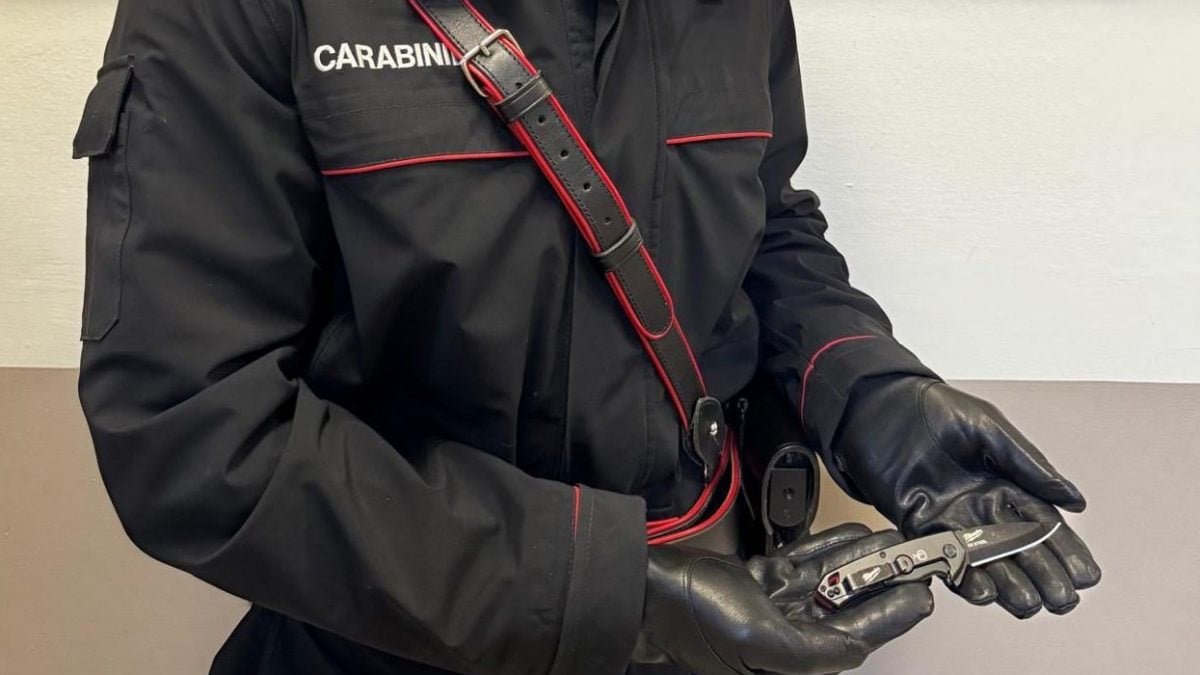 Il coltello (foto Carabinieri di Desenzano del Garda, Brescia)