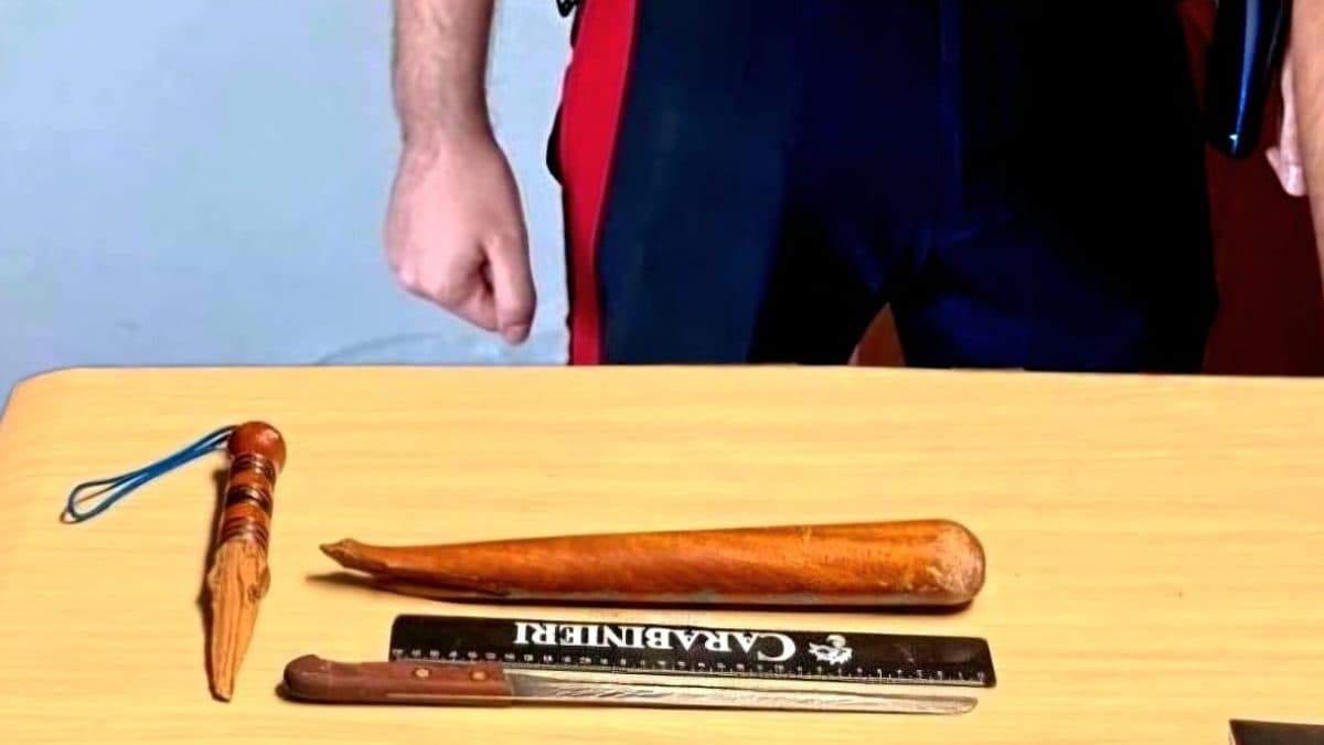 Le armi sequestrate dai carabinieri
