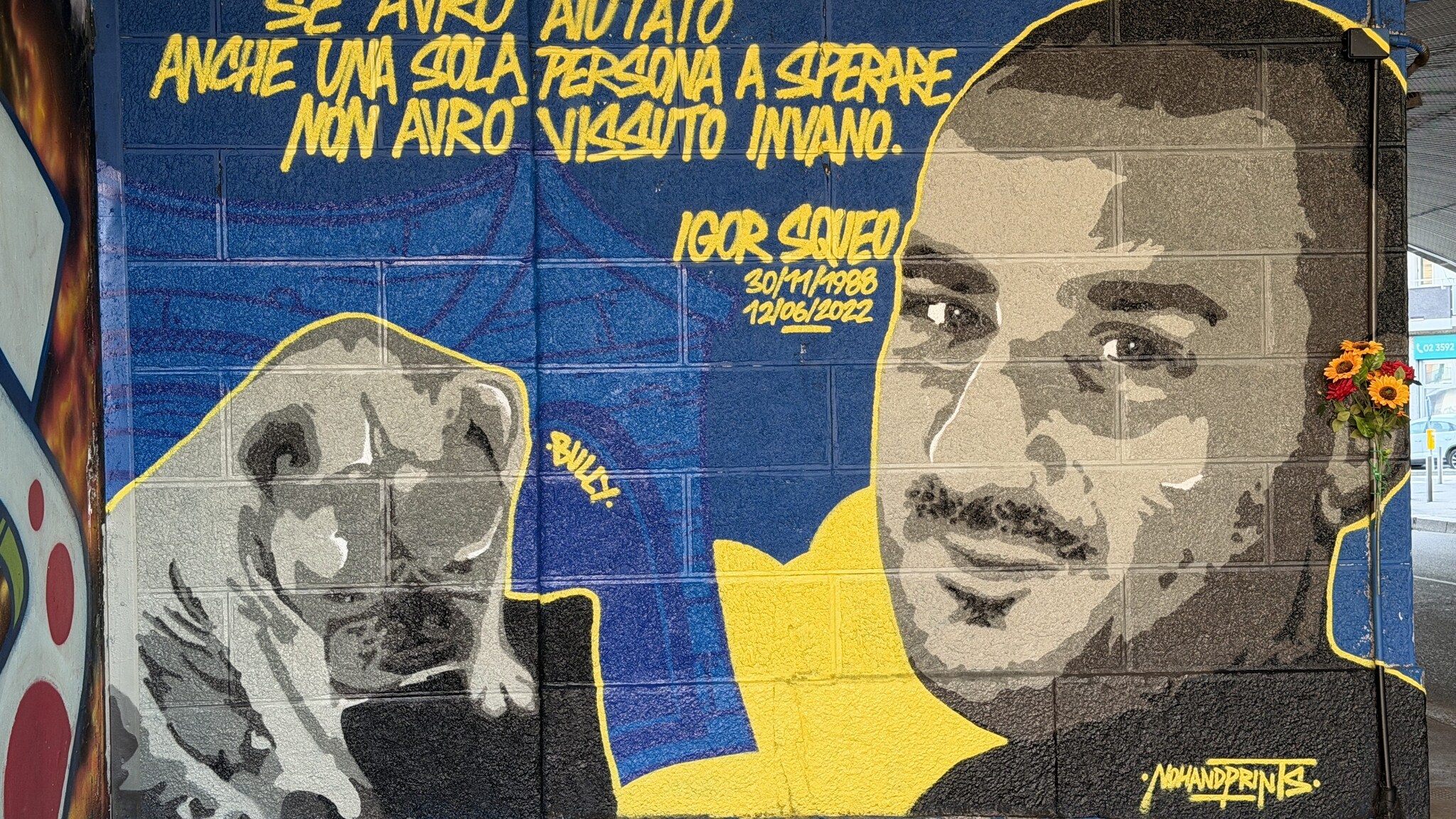 Immagine