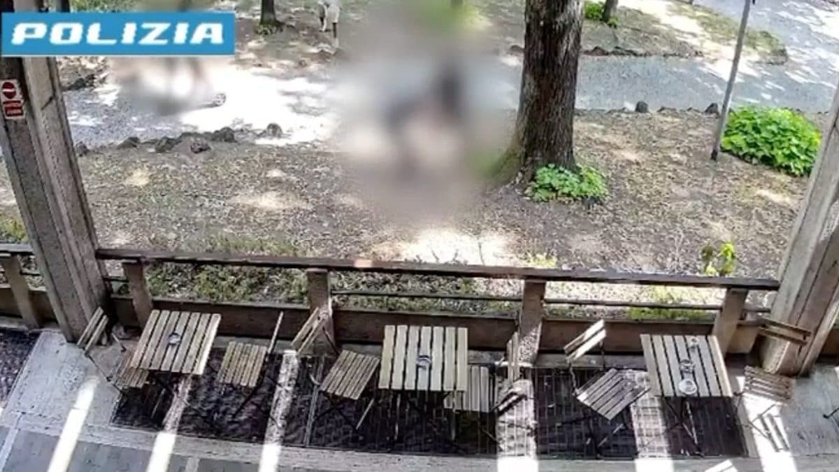 La rissa a Monza